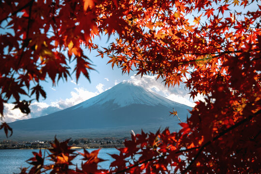 Scenic view of Mount Fuji with maple tree in foreground