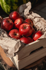 Still life photo of freshly picked red apples in a wooden box on the grass. Harvesting.