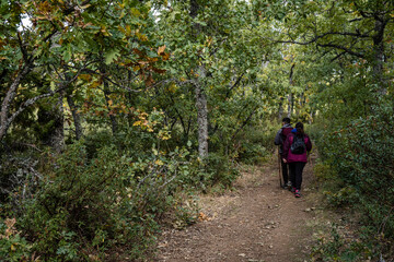 Fototapeta premium Sierra Norte de Guadalajara Natural Park, Cantalojas, Guadalajara, Spain
