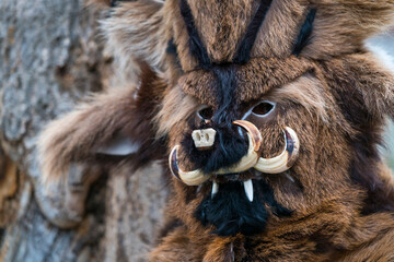 Zamarrones, Antruido Carnival, Piasca, Liébana Valley, Cantabria, Spain, Europe