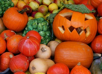 various orange and yellow pumpkins close up