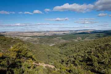 hunting reserve of Sonsaz, Cantalojas, Guadalajara, Spain
