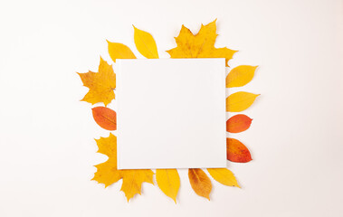 empty white photo book with leaves	