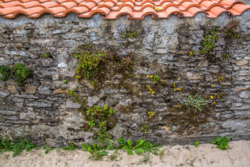 Noirmoutier couleur 8