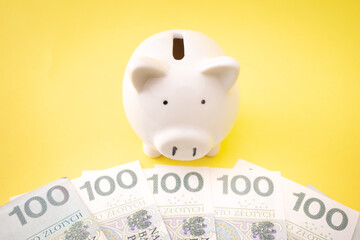 Przychód - finanse - tarcza antykryzysowa - polskie pieniądze i świnka skarbonka © Karolina Chaberek