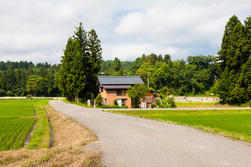 三条市の田園風景