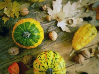 Obraz na płótnie Canvas Autumn still life with pumpkin and natural materials on wooden background