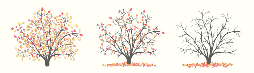Autumn bush in three versions with leaves and without leaves