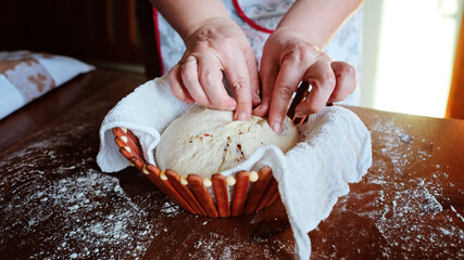 Senior women hands put raw dough on sourdough bread in a bowl to brew in her home kitchen. The concept of a healthy diet.