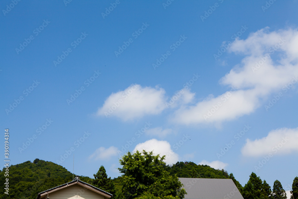 Canvas Prints 三条市の風景