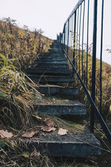 bridge
