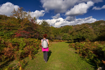 Backpacker lady in the forest