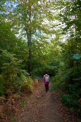 Obraz premium Backpacker lady in the forest