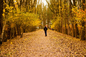 Young couple go for a walk in the autumn park