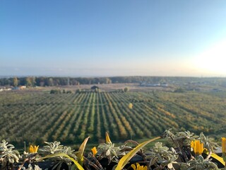 Beautiful view from balcony. Garden with apples. Sunset landscape on background.