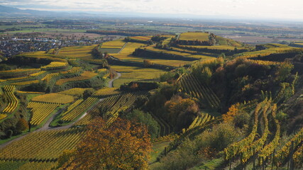 Weinberge bei Ihringen