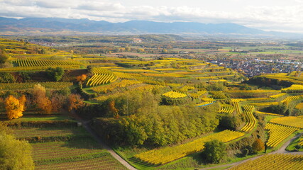 Weinberge bei Ihringen