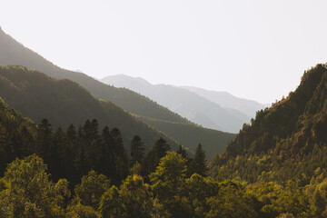 Landscape view of forest in mountain. Misty hills during sunrise or sunset.