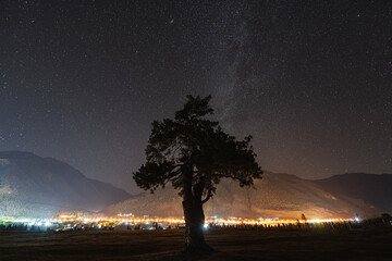 Milky Way and tree in the mountain. Old oak tree growing in field and mountain in background. Night landscape and sky full of stars.