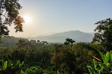 Fototapeta na wymiar Scenic view of forest mountains with tropical foliage and a morning mist sky