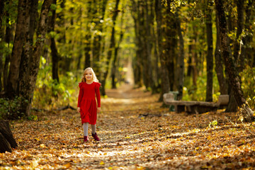 Cute girl in red beret on a walk in the fall