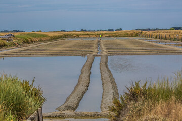 Noirmoutier couleur 38