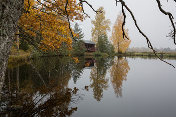 City Riga, Latvia. Lake in autumn with trees and grass. Natural flora.