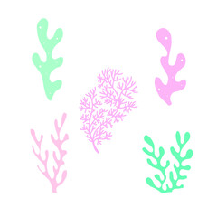 coral set on the white background