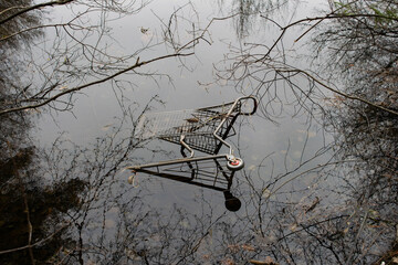 abandoned shopping cart