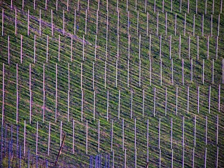 Obraz premium OLYMPUS DIGITAL CAMERA