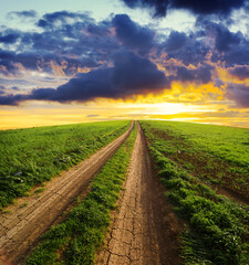 Rural Path Uphill Way To A Dramatic Sky At The Sunset Crossing A Field Of Grass - 390202525