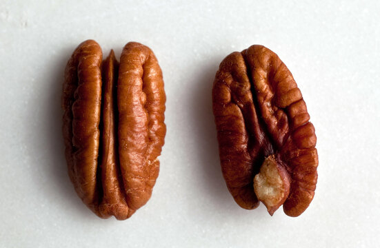 Close up of pecans