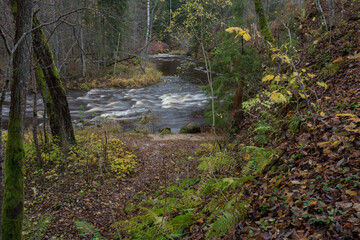 City Cesis, Latvia. Rapid river with stones and trees. Natural flora.Travel photo.
