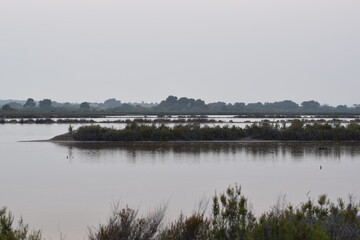 Ses Salines of Mallorca, Spain