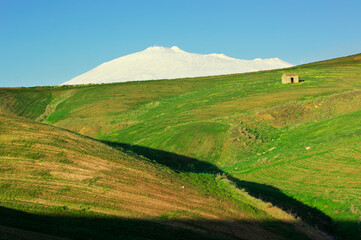 Minimalist Farmland Landscape Of Sicily Agriculture Around Etna Mount In Winter - 390203704