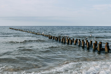 pier in the sea water sky swim