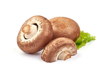 Fresh Brown Champignon Mushrooms, close-up, isolated on white background