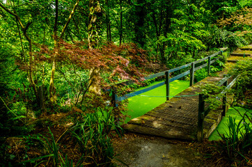 Obraz premium Reportage Nature
