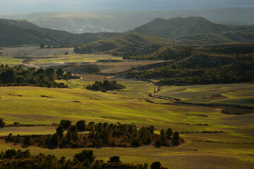 Obraz premium Sembrado de cereales al atardecer. Hellín (Albacete).