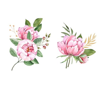 delicate bouquets with flowers pink peonies watercolor illustration on a white background. hand painted for wedding invitations, decor and design