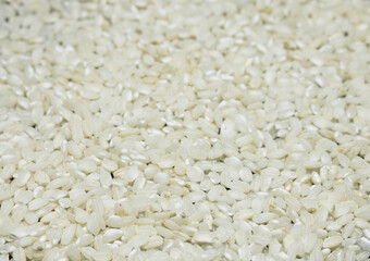 European Pile of Rice in light box black background, mountain the rice, Valencia, Spain
Half black half rice for titles