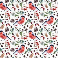 Watercolor hand painted seamless pattern with bullfinch, cones and branches of pine tree, rowan, rose hip, juniper and alder on white background. Cozy pattern with atmosphere of winter forest.
