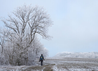 Wandern im Raureif, Schwäbische Alb