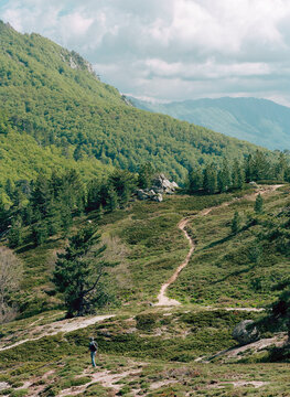 Corsican Landscape