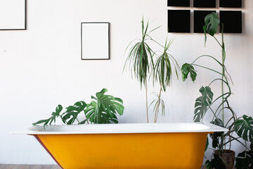 Design of loft Interior of bathroom or room. White walls with free copyspace. Trend green - palm leaves on background. Modern design yellow bath