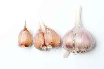 garlic on a white background