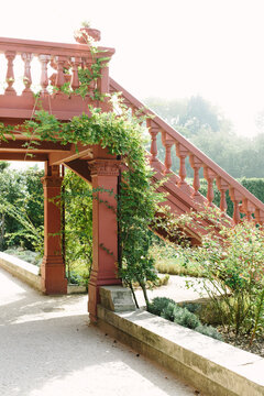 stairs filled with vines.