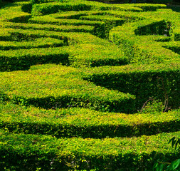 Laberinth garden, Rivau Castle, L&eacute;mer&eacute;, Indre-et-Loire Department, The Loire Valley, France, Europe