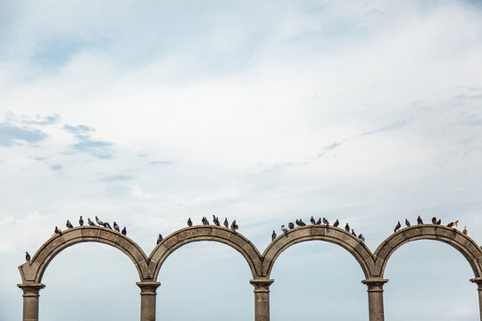 Birds on archway