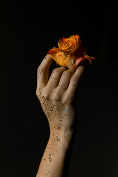 orange rose on a hand.